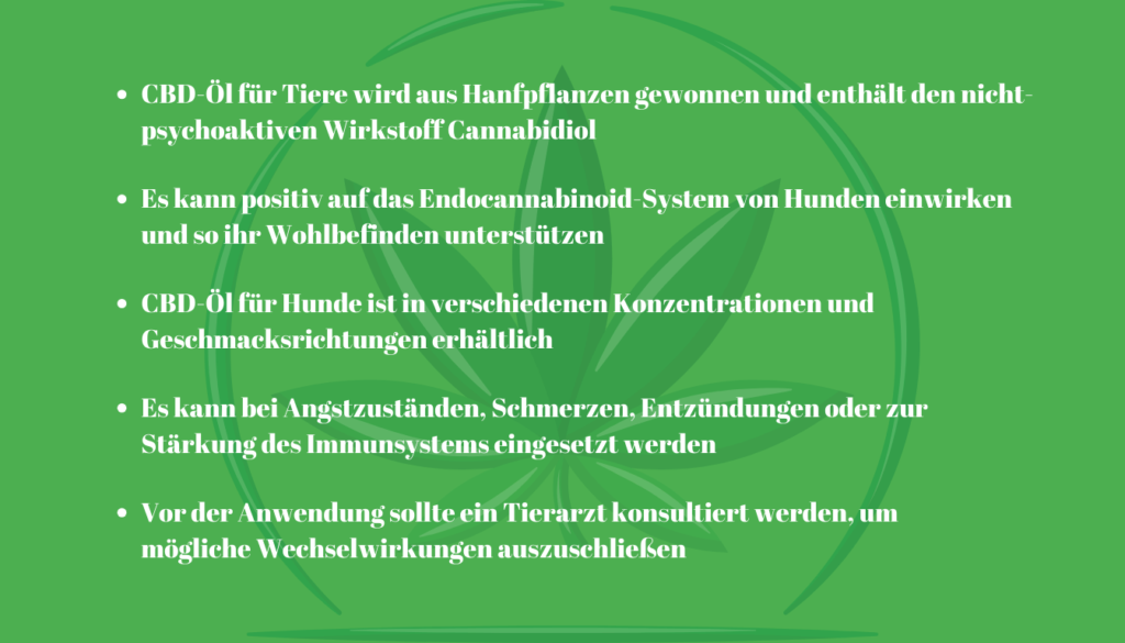 CBD für Hunde wichtige Erkenntnisse