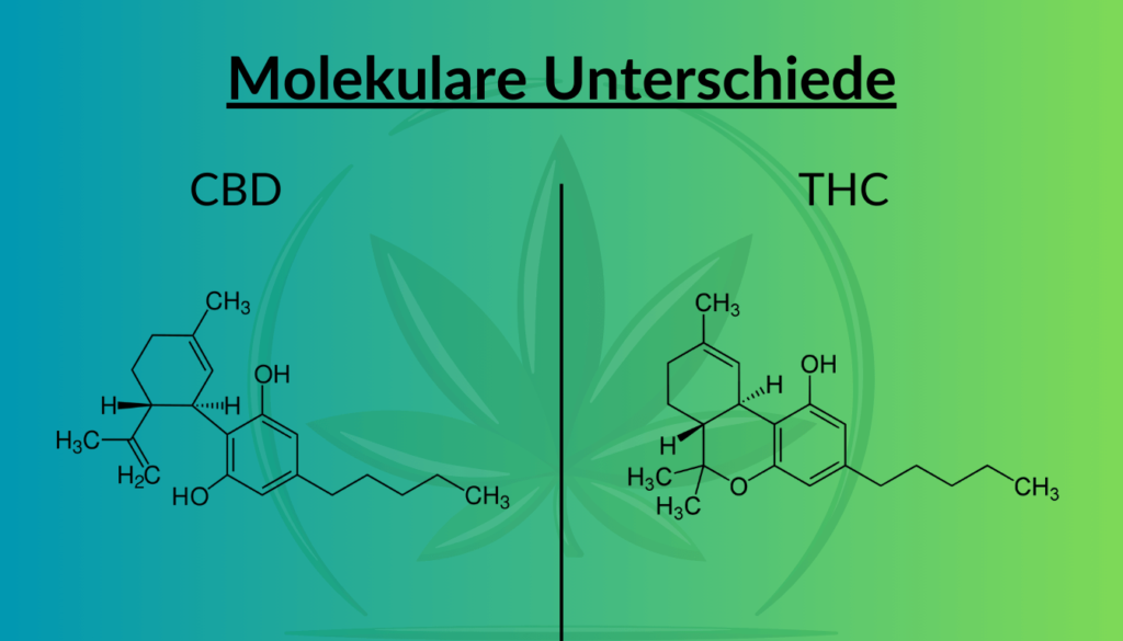 Molekulare Unterschiede THC CBD