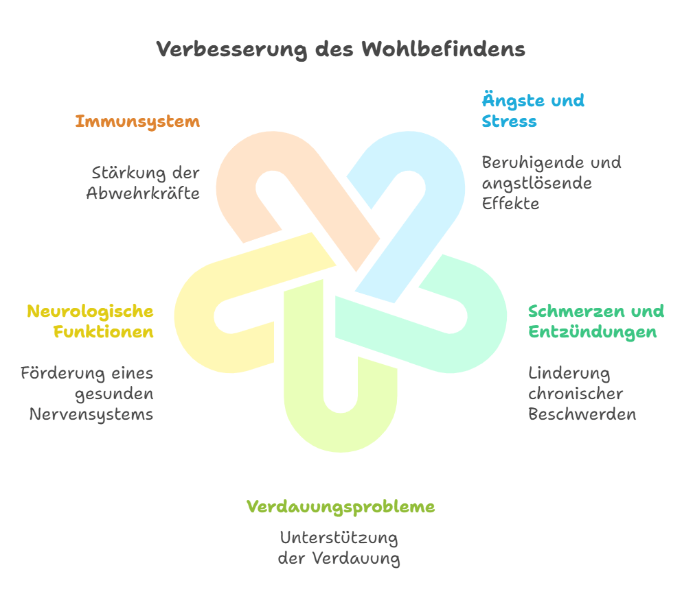 Grafik über potenzielle Wirkungen für CBD auf Tiere