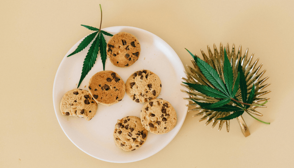 cbd cookies zum essen