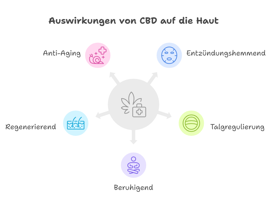 cbd vorteile für die Haut grafik